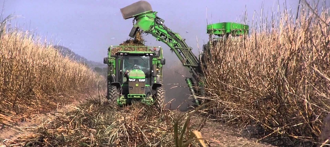 Sugarcane harvest in Brazil - Sugar exports