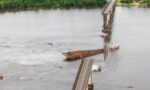 Biopalma to pay for Moju River Bridge