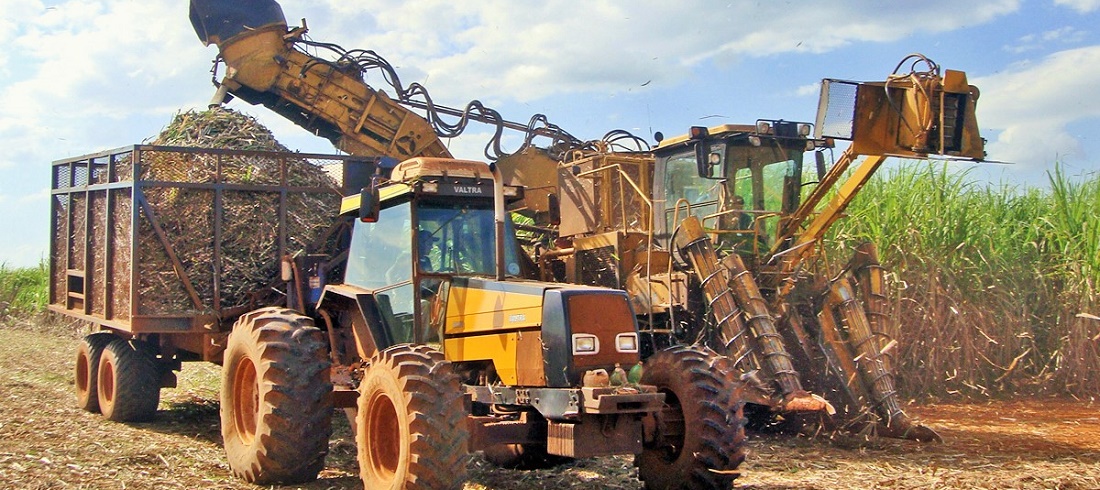 Brazil's sugar production