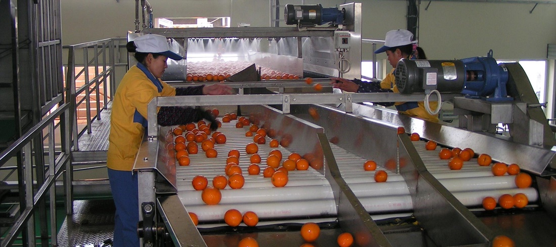 Orange juice bottling factory