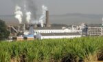 Center-South Region - Usina São Martinho sugar and ethanol production unit
