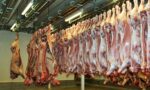 meat slaughterhouse - Brazil's cattle slaughter has increased