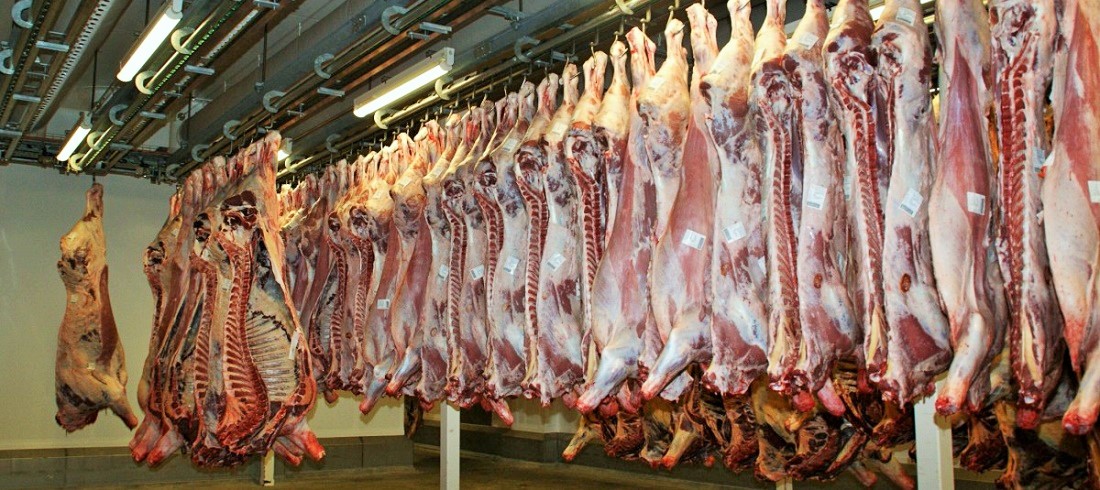 meat slaughterhouse - Brazil's cattle slaughter has increased