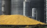 corn exports - ADM