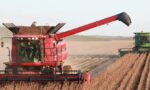 China removes soybeans tariff