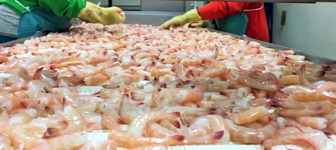 Argentine seafood sector