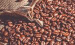 exportação de café - brazilian coffee exportation