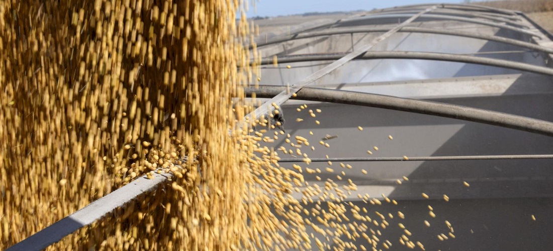 Brasil exportação soja - brazilian soybean exports