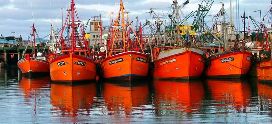 Porto de MAr del Plata - MAr del Plata Port