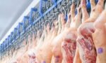 Exportações brasileiras de carne suína / pork industry in 2022