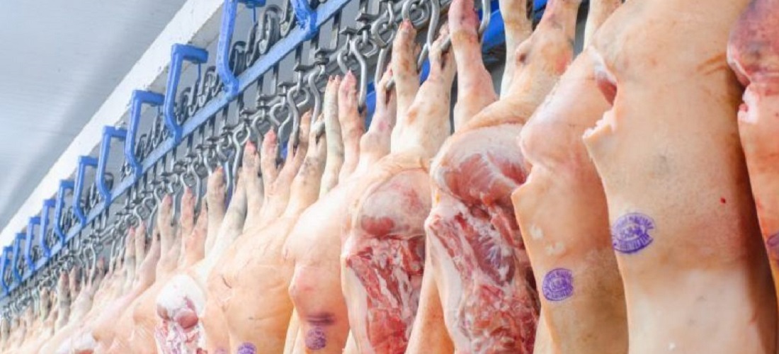 Exportações brasileiras de carne suína / pork industry in 2022