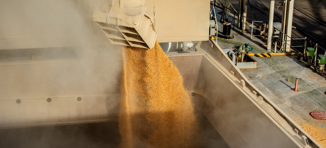Data show that Brazilian corn exports have decreased / exportação de milho