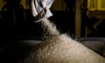 Exportações arroz 1º trimestre