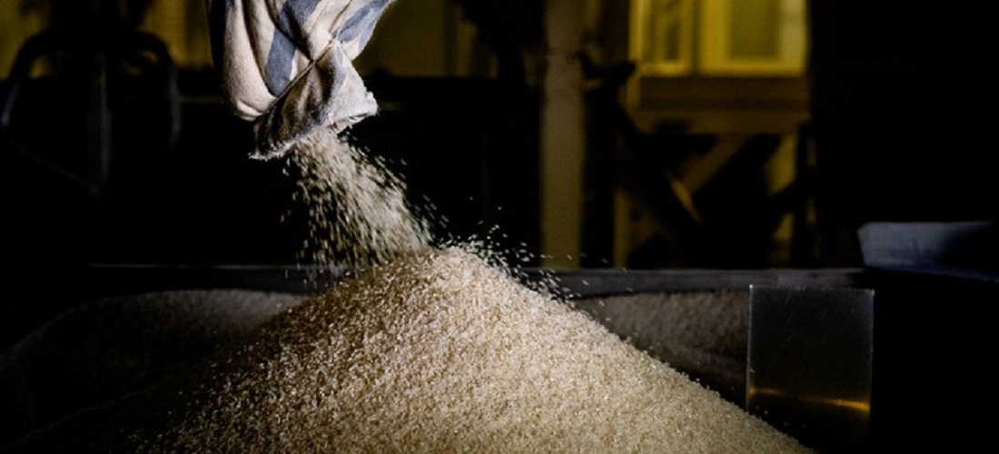 Exportações arroz 1º trimestre