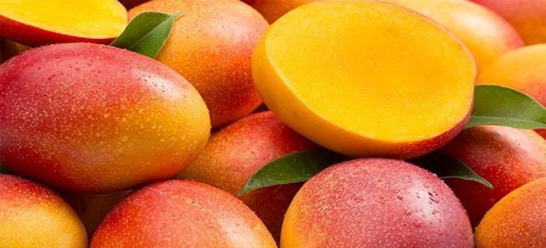 mango exports