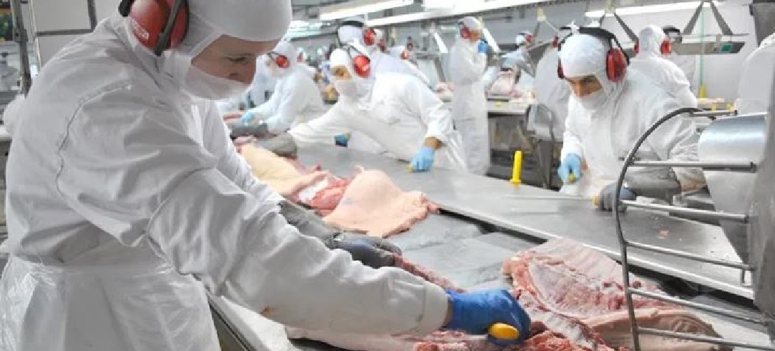 Pork exports China