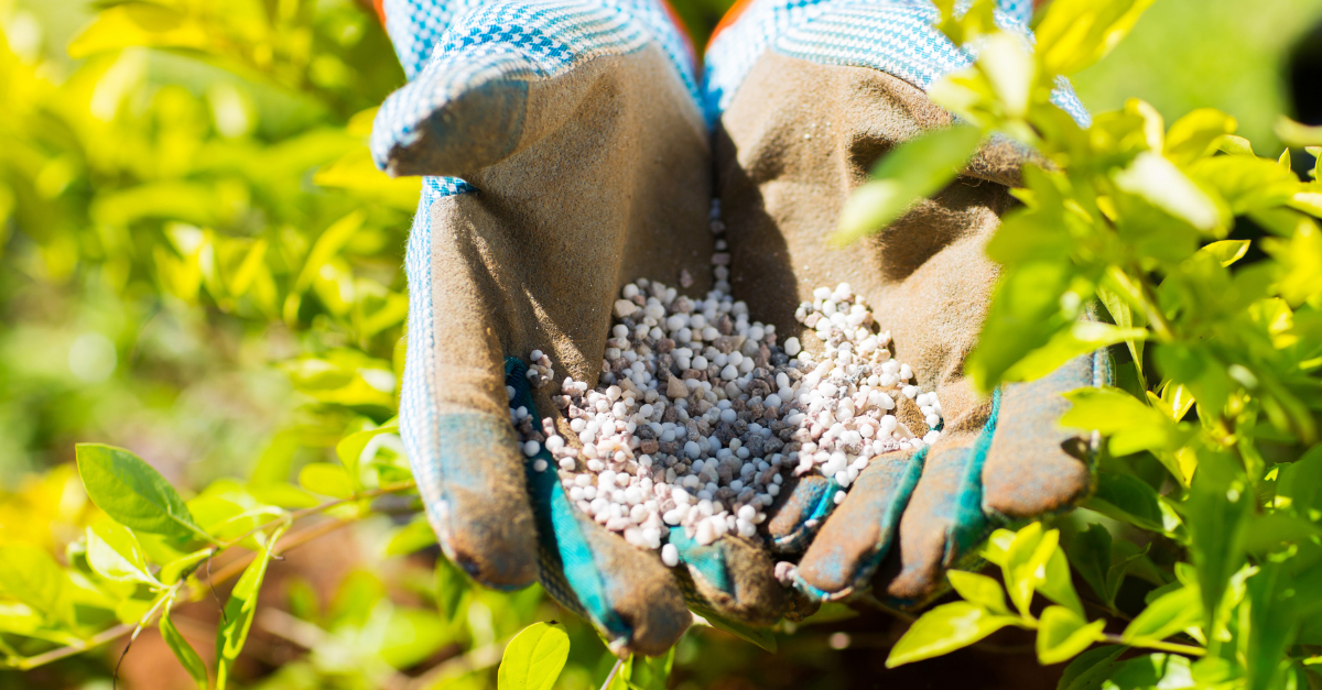 fertilizer imports