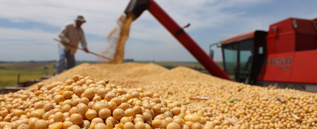  Anec raises soybean export forecast in April to up to 14.34 million tons