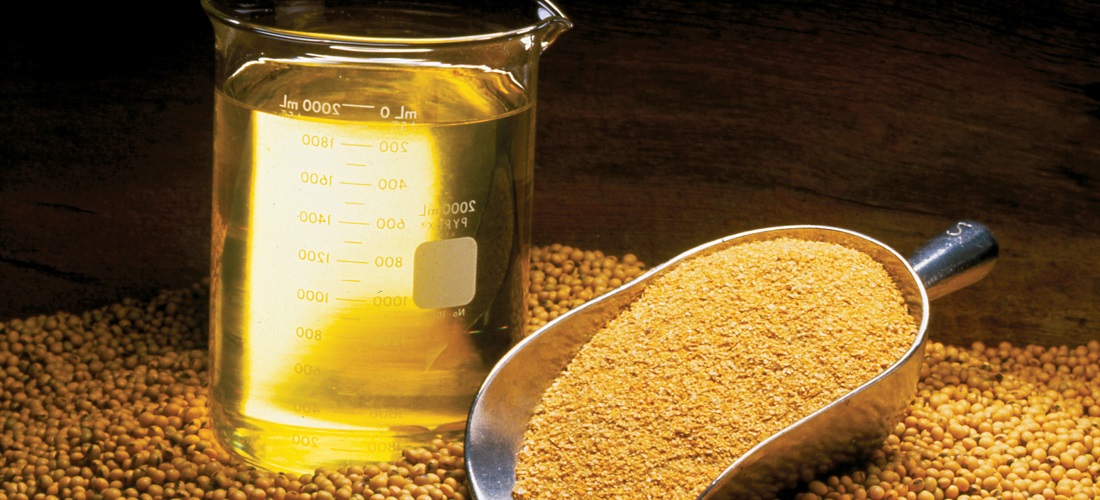 óleo de soja / soybean oil