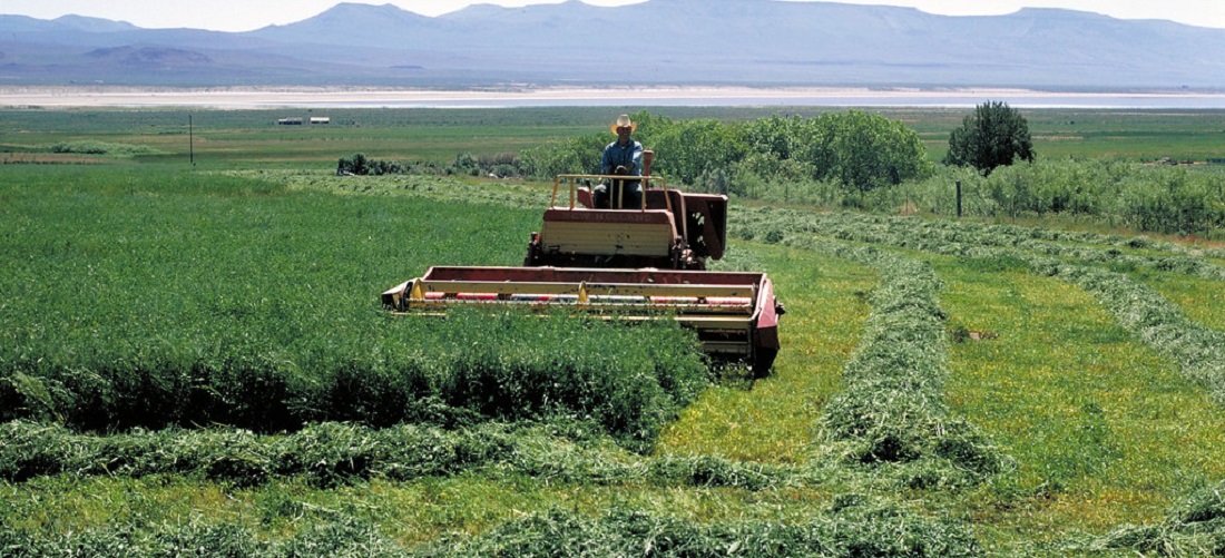 US-grown commodities