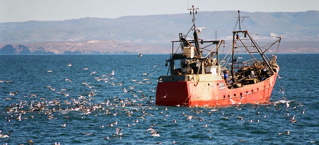 Argentina's fishing industry / setor pesqueiro
