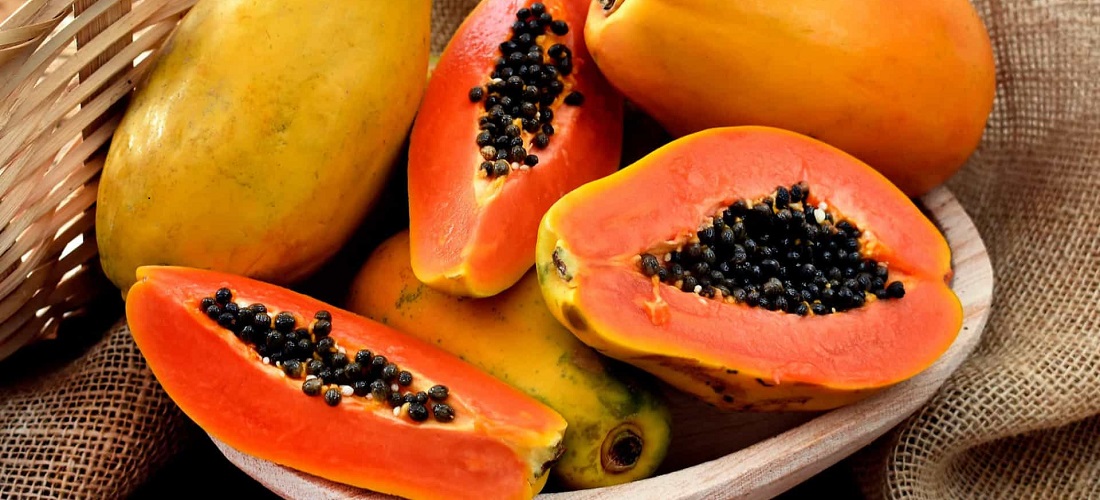 Papaya exports