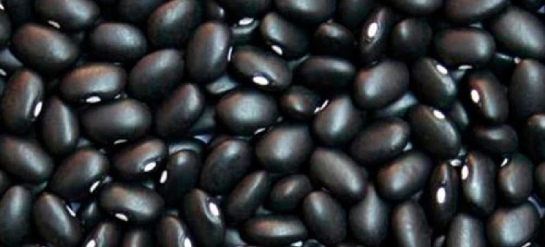 feijão / bean