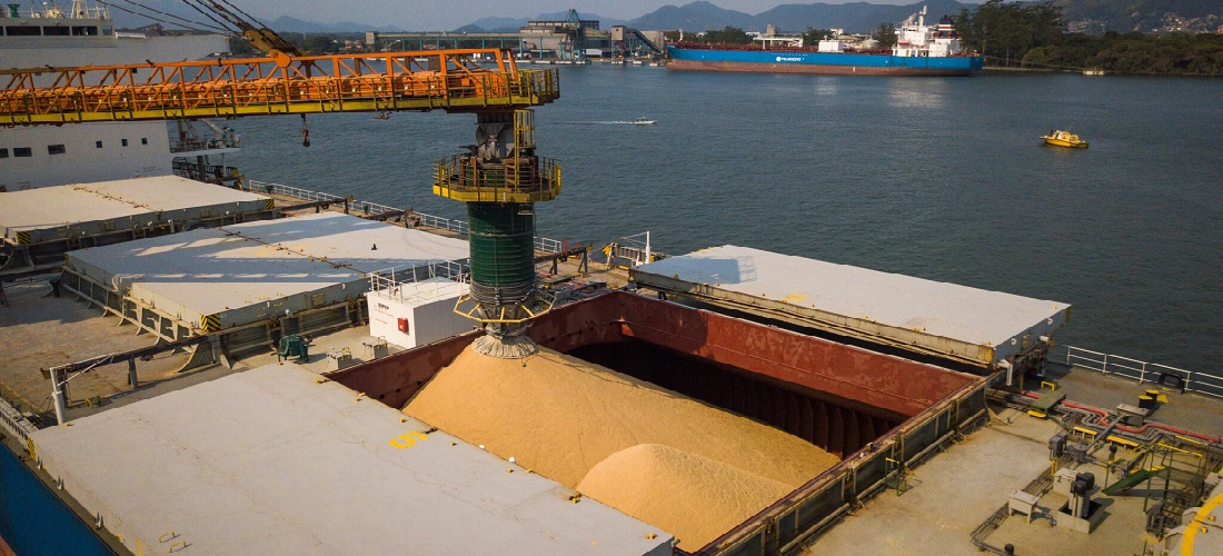 Rabobank Report Warns of Brazil’s Port Capacity Strain Amid Soaring Grain Exports